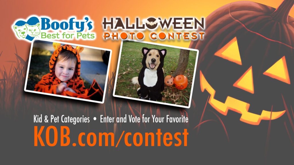 Halloween Photo Contests