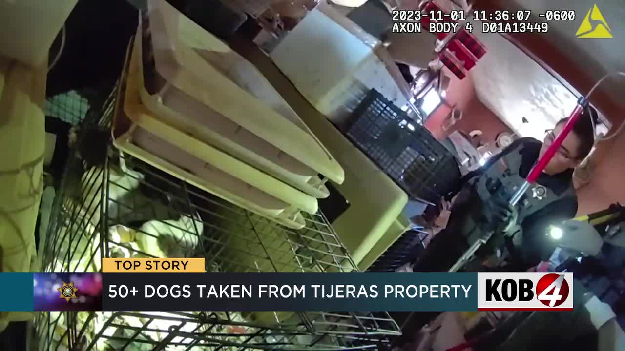 Dog loses leg after caught in trap, prompting renewed calls to ban trapping  - TrapFree New Mexico