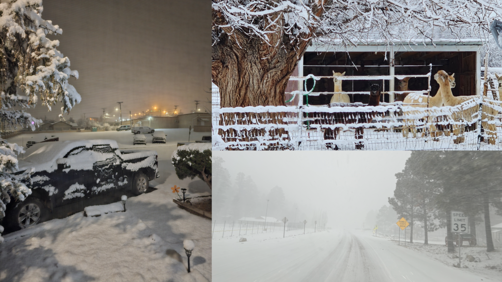 PHOTOS First Winter Storm Of 2024 In New Mexico KOB Com   Snow In Nm 1 4 2024 1024x576 