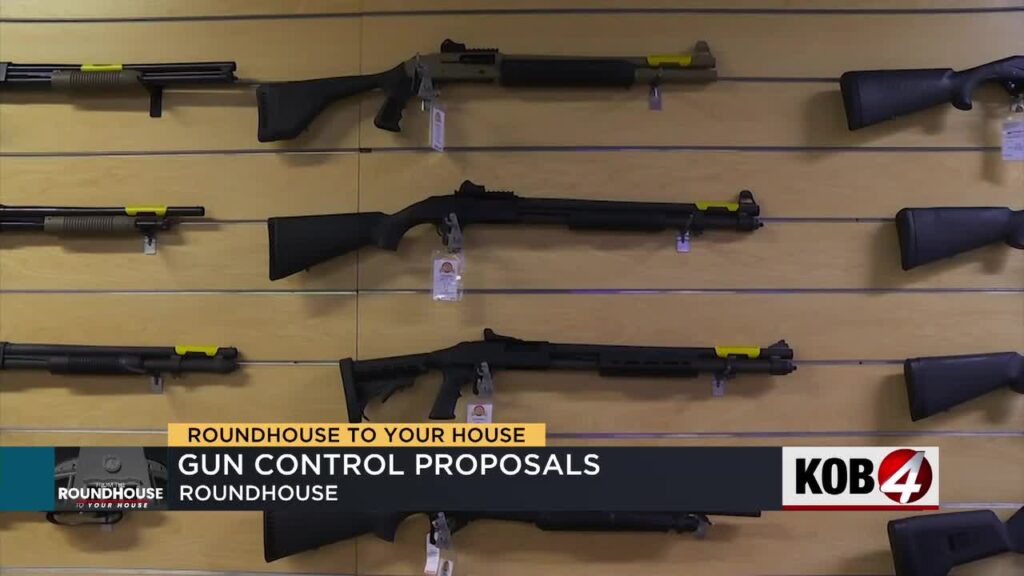 Legislation To Create Waiting Period For Firearm Sales Heads To ...