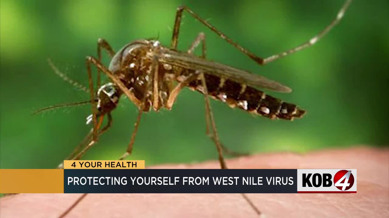 Protecting yourself from mosquitoes and West Nile virus