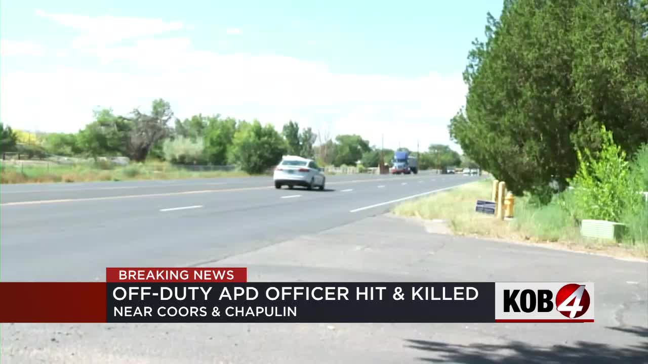 Off-duty APD officer struck and killed in nighttime accident