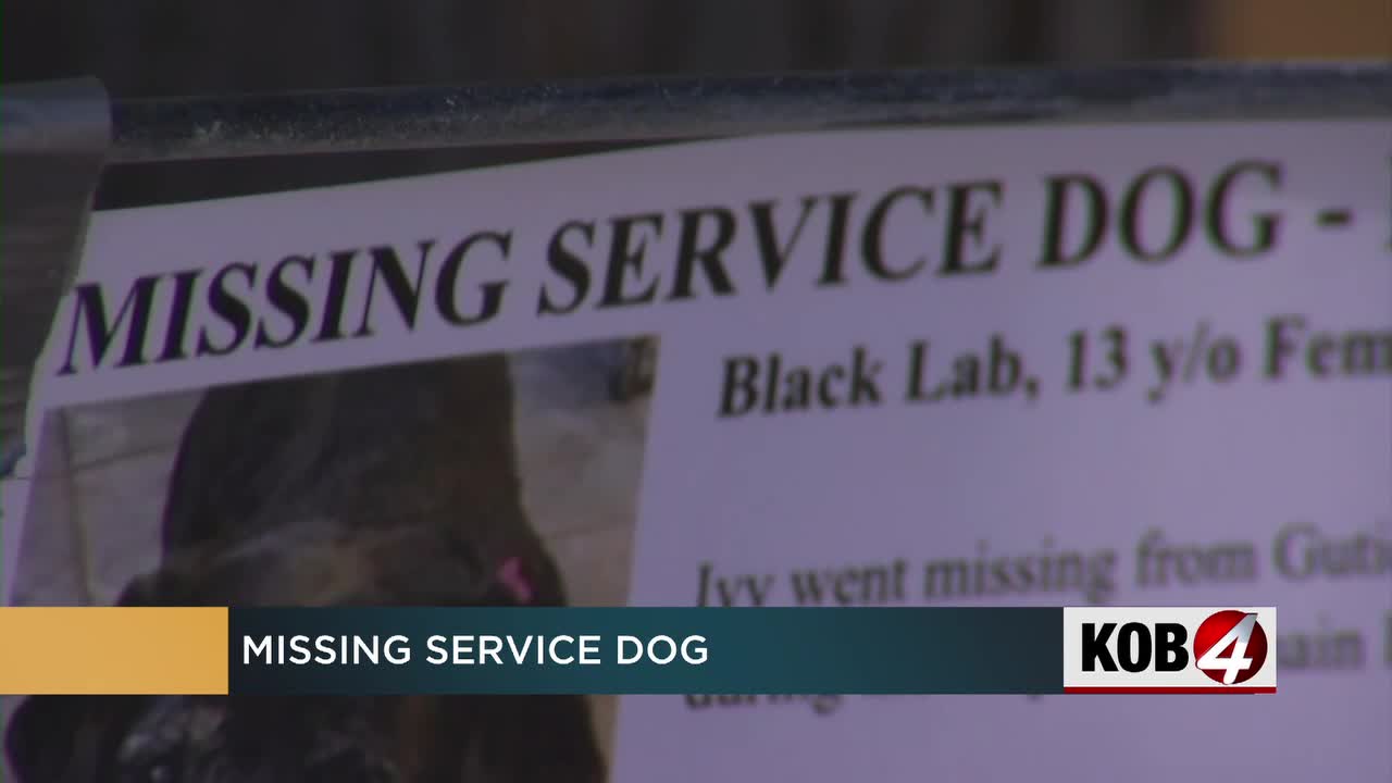 Woman still missing service dog after burst water pipe