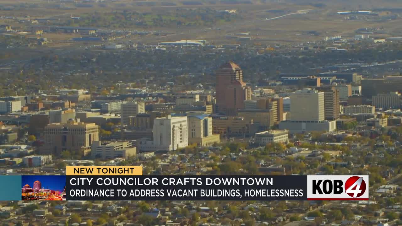 The city council has high hopes for the city center with the proposed ordinance