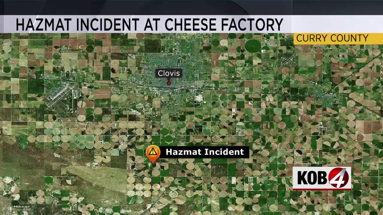 20 cheese factory employees injured after industrial accident