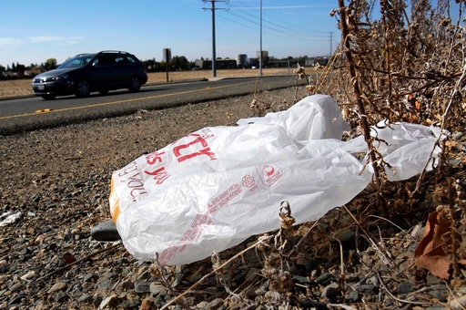 California governor signs law banning all plastic shopping bags at grocery stores